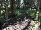 741 Forgotten Ln - Photo 16