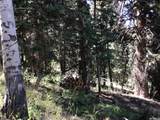 741 Forgotten Ln - Photo 18