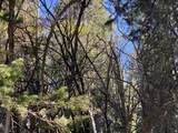 741 Forgotten Ln - Photo 20
