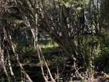 741 Forgotten Ln - Photo 21