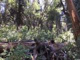 741 Forgotten Ln - Photo 24