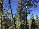 741 Forgotten Ln - Photo 25