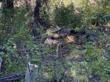 741 Forgotten Ln - Photo 26