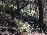 741 Forgotten Ln - Photo 5