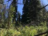 741 Forgotten Ln - Photo 8