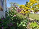 7487 Olive Brook Dr - Photo 31