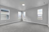5022 Green Ash Ln - Photo 13