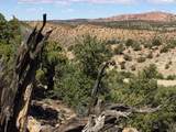 57 Kane Canyon - Photo 5