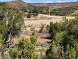 57 Kane Canyon - Photo 9