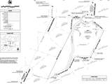 7931 Danish Pine Ln - Photo 3