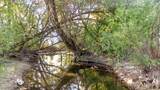 3300 5400 - Photo 15