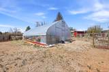 117 250 - Photo 25