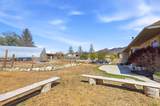 117 250 - Photo 26