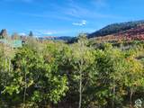 9274 Deer Creek Dr - Photo 45
