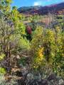 9274 Deer Creek Dr - Photo 47
