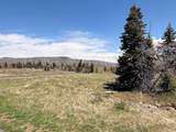 403 Blue Spruce Dr - Photo 11