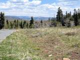 403 Blue Spruce Dr - Photo 6
