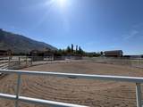 7456 950 - Photo 42