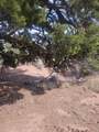 46066 8000 - Photo 23