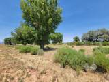2582 Westview Dr - Photo 7