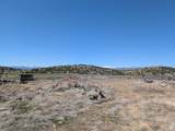 11799 Cove Creek Rd - Photo 6