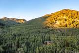 11137 Big Cottonwood Cyn Rd - Photo 54