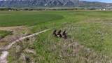 320 5400 - Photo 38