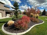 695 Oak Cir - Photo 49