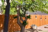 426 170 - Photo 39