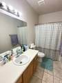 1563 Turtle Dove Ln - Photo 30