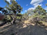 38 Broken Branch Rd - Photo 16