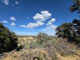 38 Broken Branch Rd - Photo 20