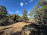 38 Broken Branch Rd - Photo 26