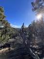 38 Broken Branch Rd - Photo 40