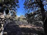 38 Broken Branch Rd - Photo 45