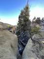 39 Upper Lick Rd - Photo 15