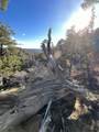 39 Upper Lick Rd - Photo 19