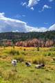 39 Upper Lick Rd - Photo 41