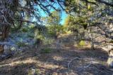 39 Upper Lick Rd - Photo 43