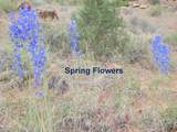 458 Singing Desert Rd - Photo 21