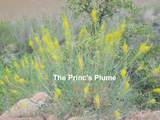 458 Singing Desert Rd - Photo 23