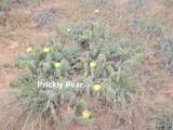 458 Singing Desert Rd - Photo 25