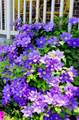 653 3550 - Photo 5