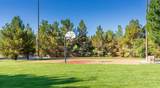 2368 Via Linda Cir - Photo 57