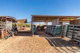 2368 Via Linda Cir - Photo 62