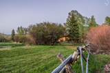 4445 Millrace Rd - Photo 57