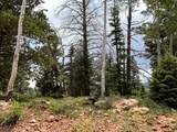 1272 Aspen Dr - Photo 10
