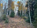 660 Ski View Dr - Photo 2