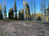 660 Ski View Dr - Photo 10