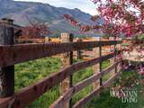 7461 Sky Ranch Rd - Photo 19